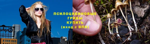 Альфа ПВП Аркадак