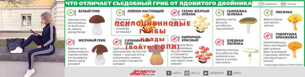 Альфа ПВП Аркадак