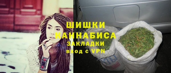 Альфа ПВП Аркадак