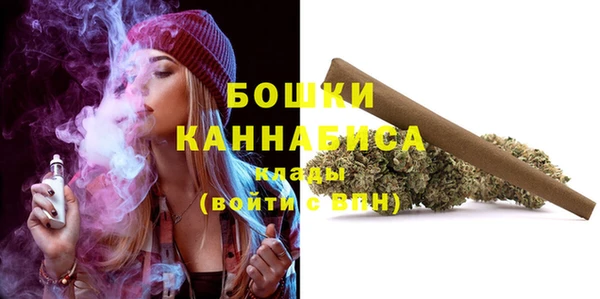 Альфа ПВП Аркадак