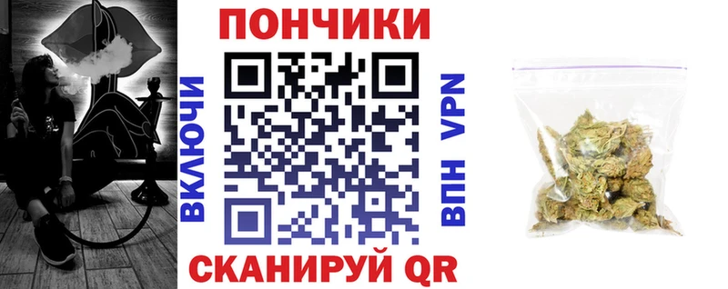 Шишки марихуана сатива  где купить наркоту  Прохладный 